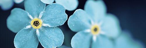nnyis_'s profile banner image