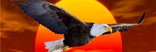 JorgeCach's profile banner image