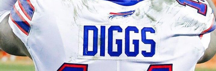 Perry Pros banner