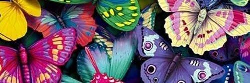 Pasha_Aja7's profile banner image