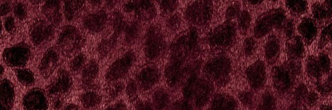 louispurimitha's profile banner image