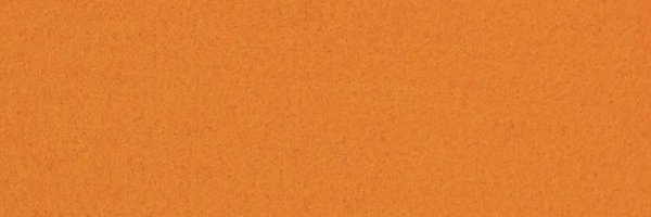 NFfemale Profile Banner