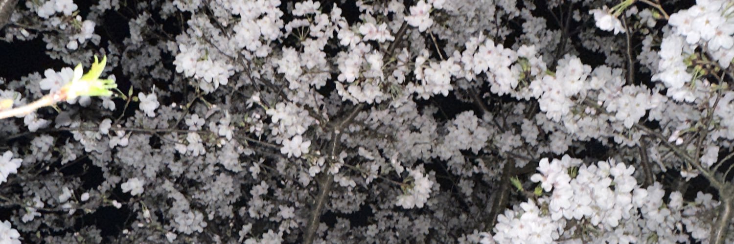 riloぴ banner