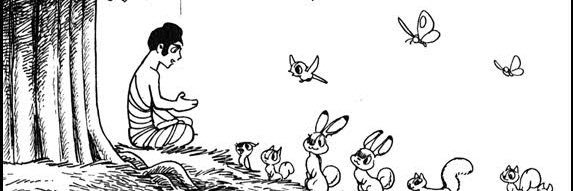 AmandaLibeIndi's profile banner image