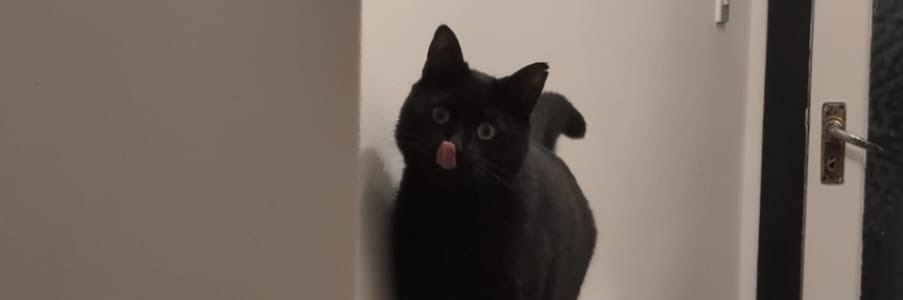 MaxMarshall18's profile banner image
