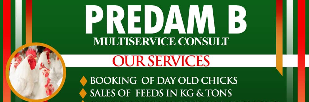 Predamherself's profile banner image