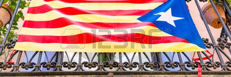 maypellicer's profile banner image