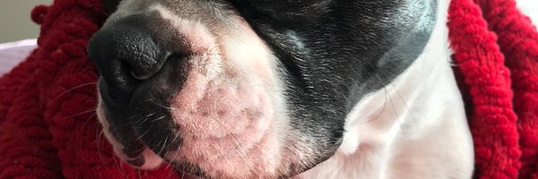 _k_syrahsyrah Profile Banner