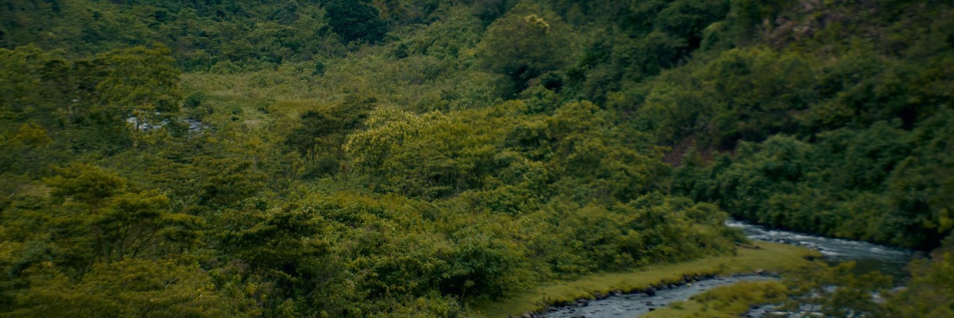 MtumaKen's profile banner image