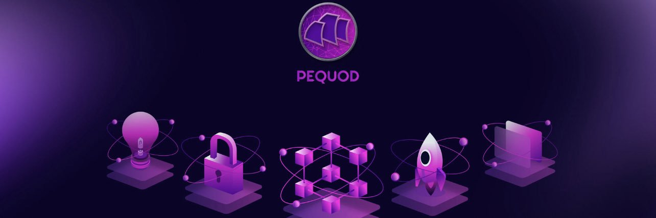 WolfofTuscany banner