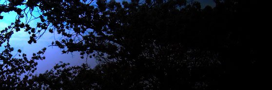 617361's profile banner image