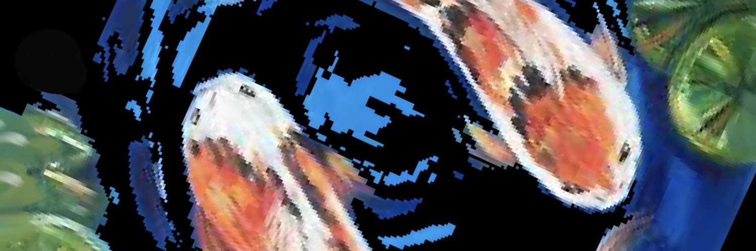 itoinu.io banner