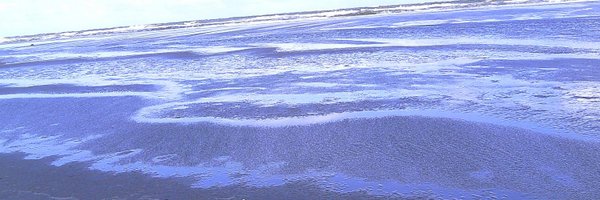 TheaJDoro Profile Banner