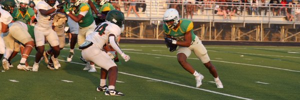 ZionWilliams13_ Profile Banner