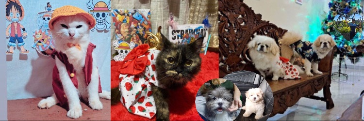 klareeses_'s profile banner image