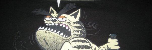 k0tukedi's profile banner image