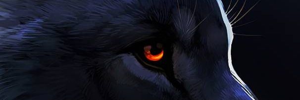 Razazool's profile banner image