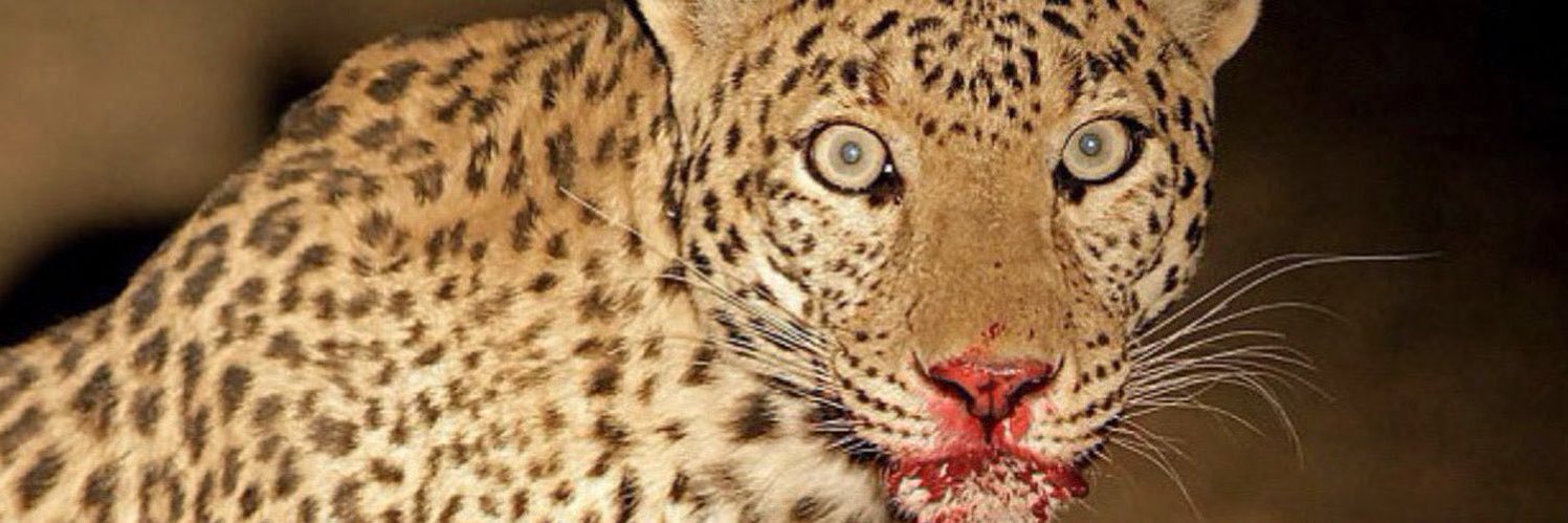 raaahff3's profile banner image