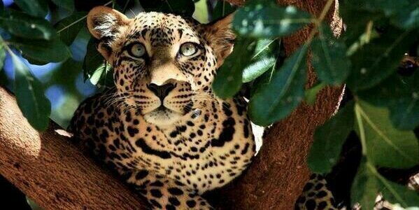Mar_Torrijos's profile banner image