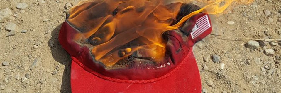 EX - MAGA Sweetie banner