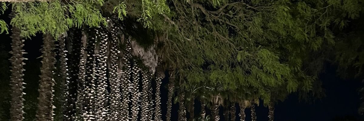 vaaaleeenn3's profile banner image