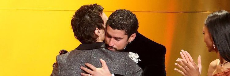 papayabostera's profile banner image