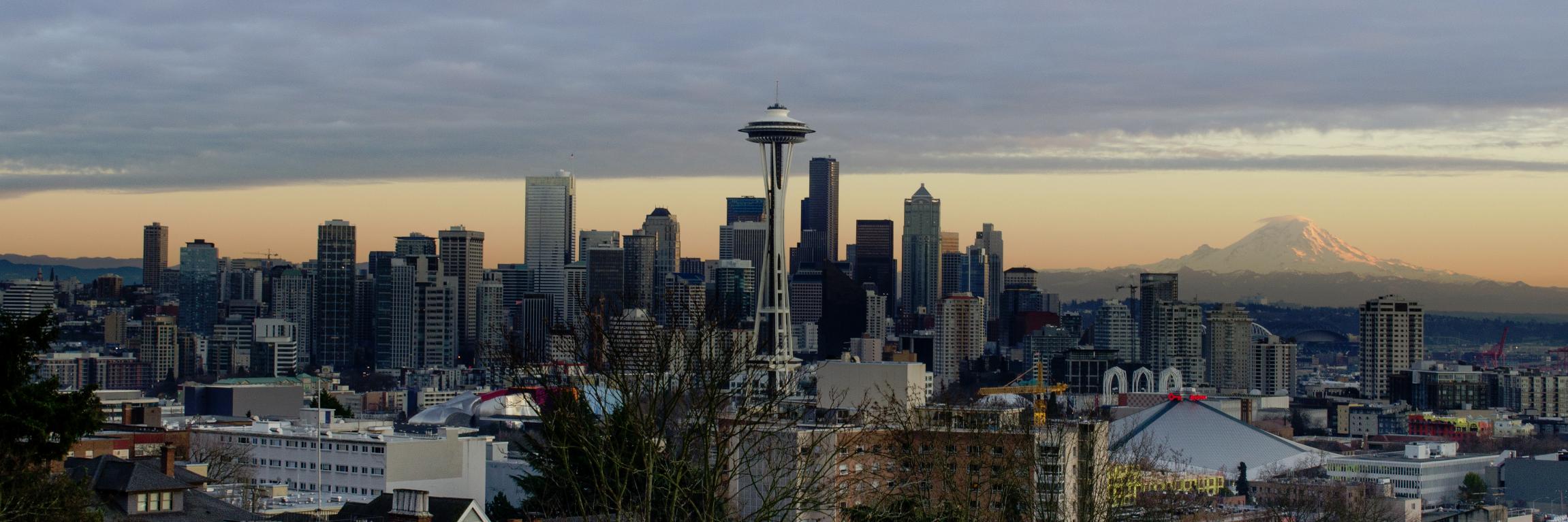 Sayed I. Hashimi banner