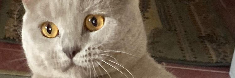 ErdncLKER's profile banner image