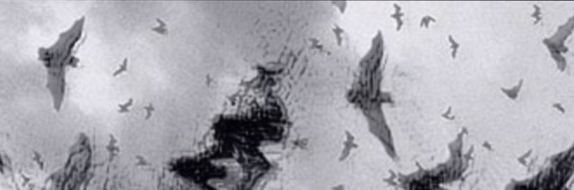 darctoberjay's profile banner image