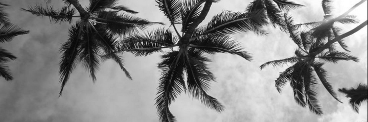 Ella Ryan banner