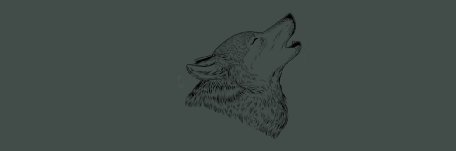 carterhaleoc's profile banner image