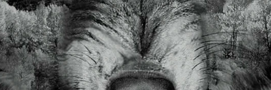 vip_theeb's profile banner image