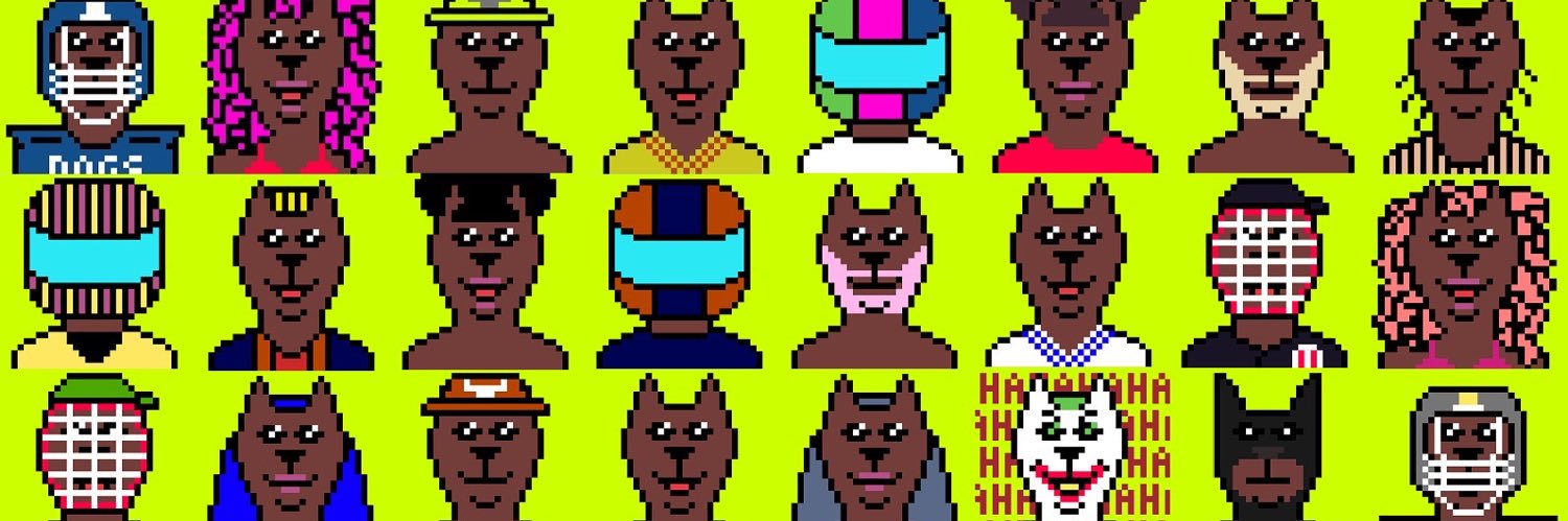 coolestdogsnft's profile banner image