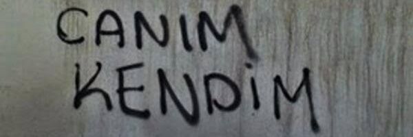 Sevinç Naz banner