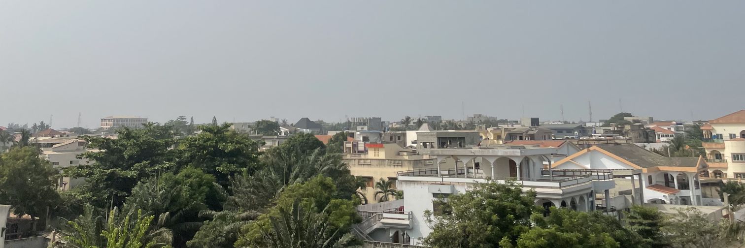 Tropical Beauttie banner