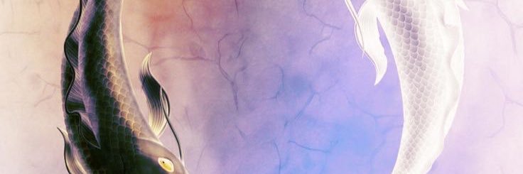 9lux9's profile banner image