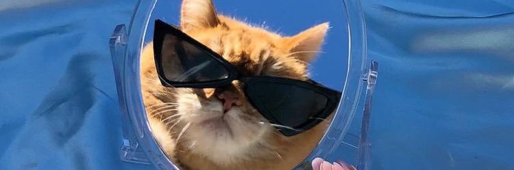 charrikabm's profile banner image