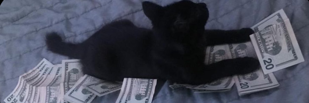 koozi banner