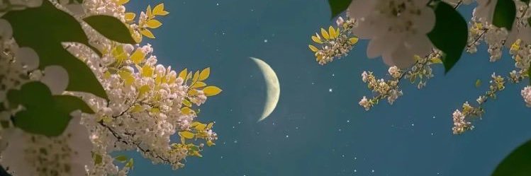aaaawnri's profile banner image
