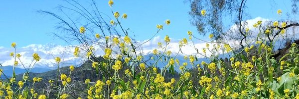 coni_wis Profile Banner