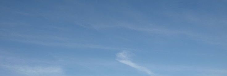 todaywear's profile banner image