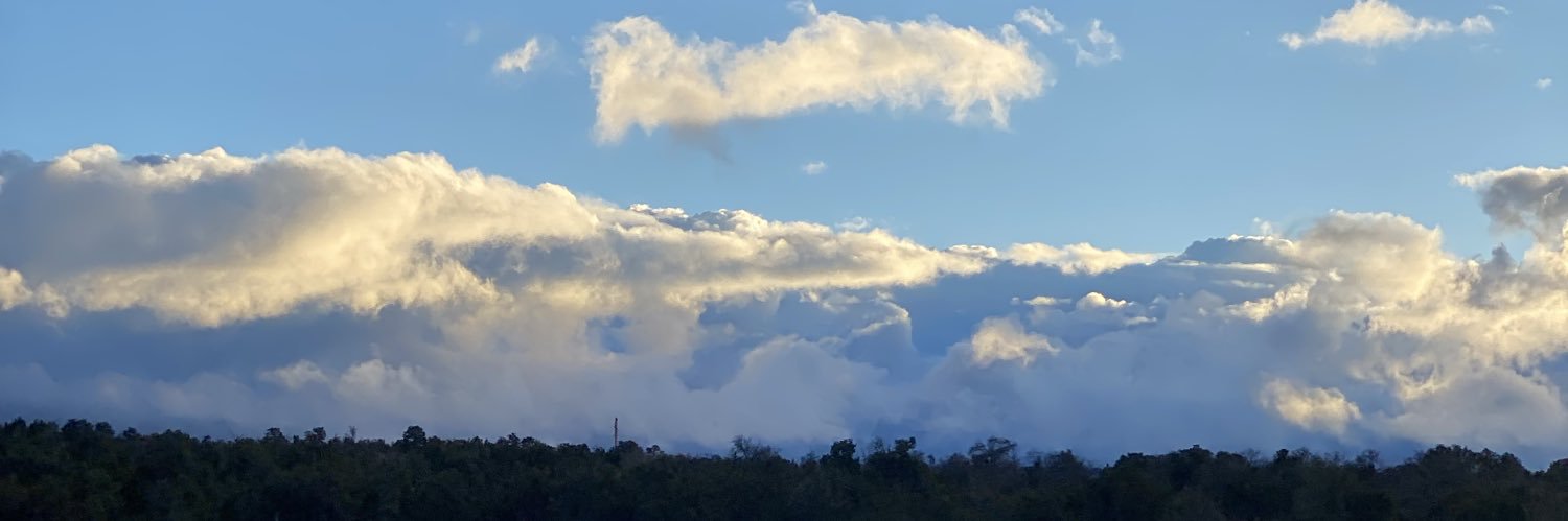 Alleyez1995's profile banner image