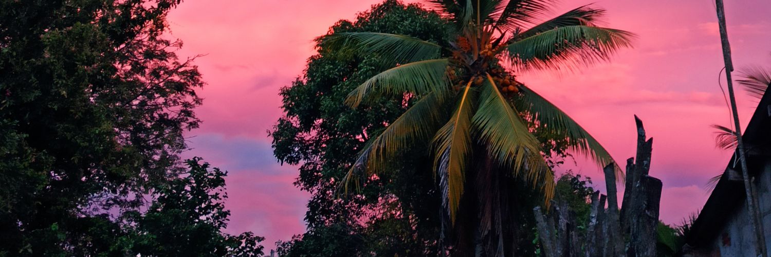 Llari_24's profile banner image