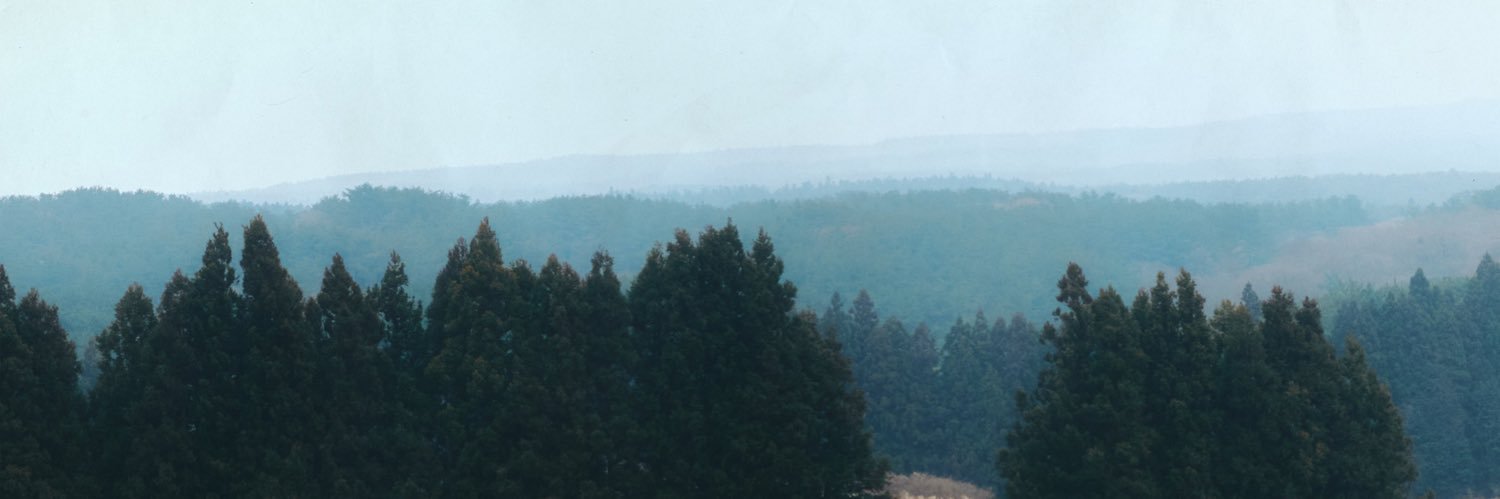 meimimiemi's profile banner image