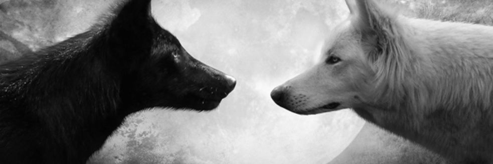 L0BA 🐺 banner