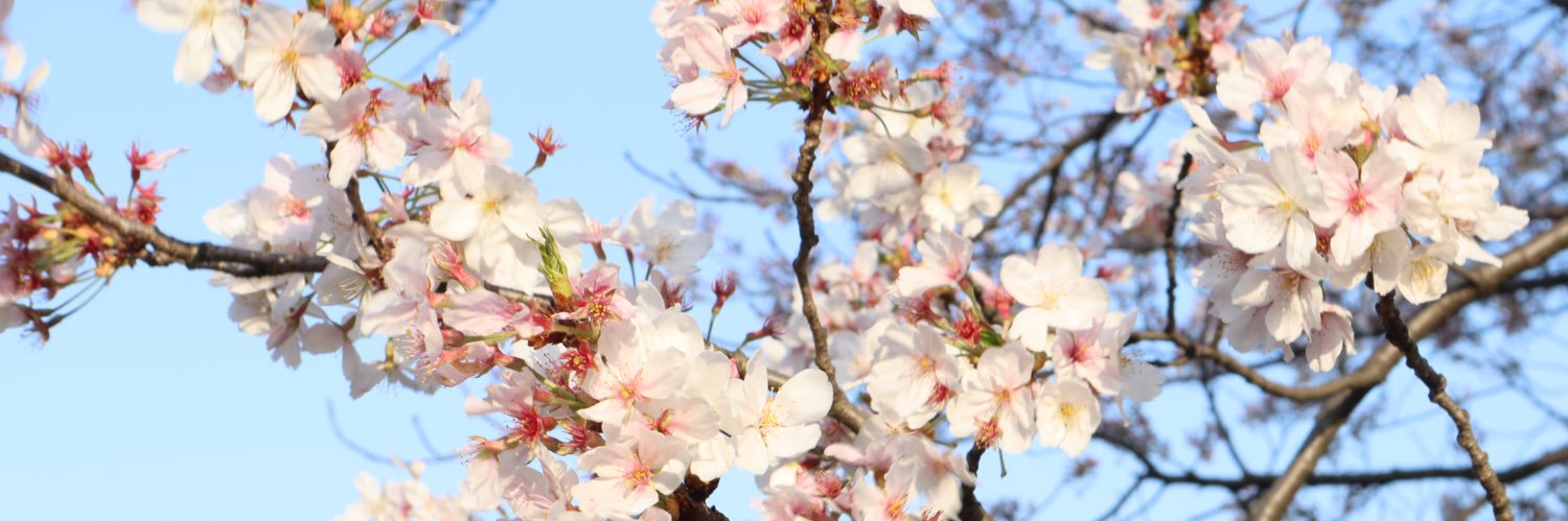 ヌートリア取引垢 banner