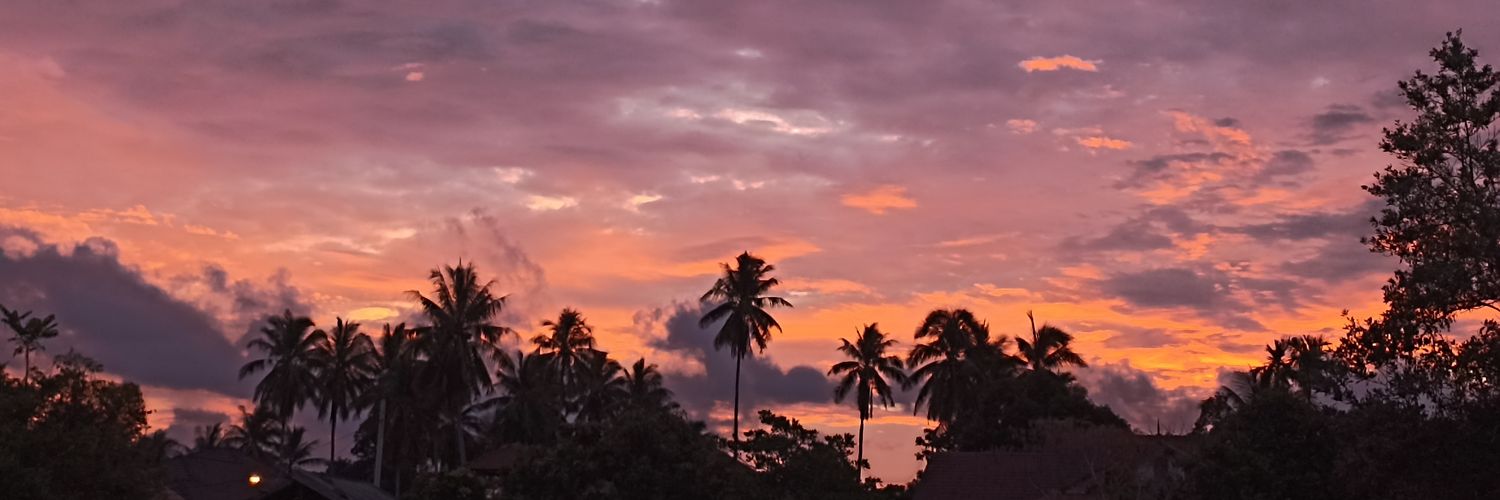 YoiiFaaa's profile banner image