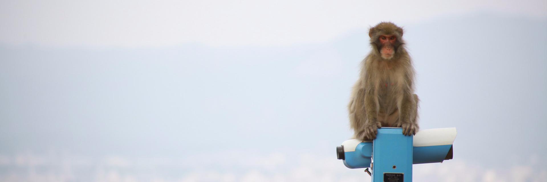 pchr_'s profile banner image