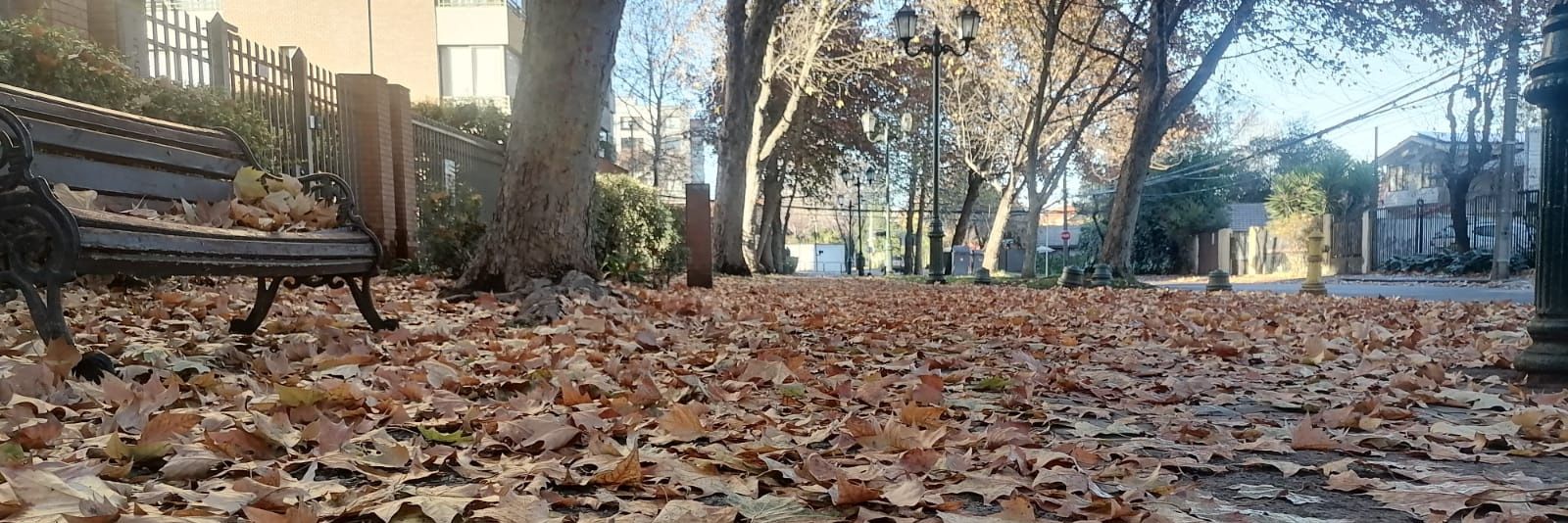 Anónimo Conocido banner