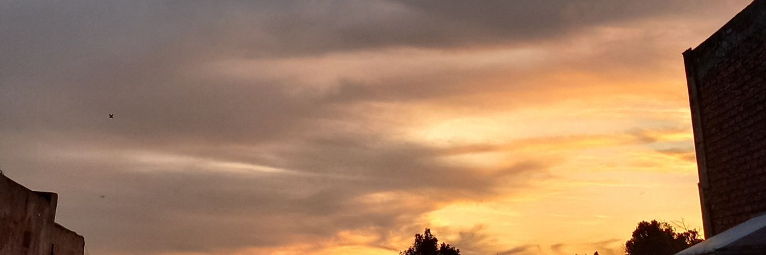 ayliekka's profile banner image